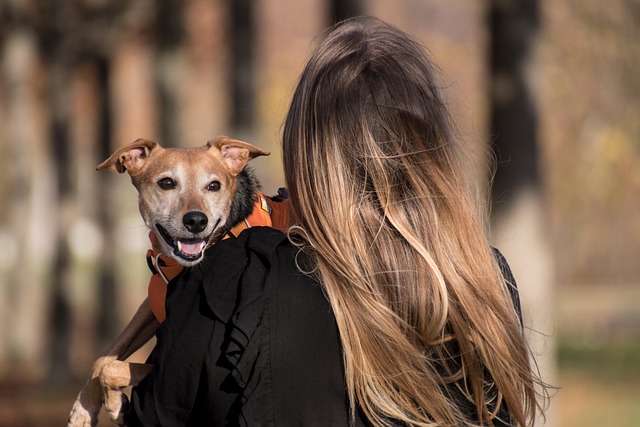 Harness the Power of SAMe: Improve Joint Comfort and Elevate Your Mood