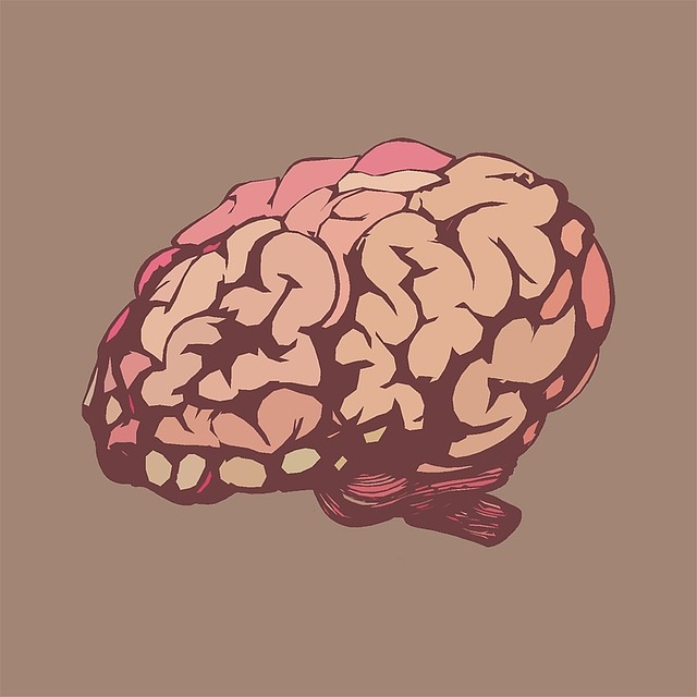 Unlocking Your Brain's Potential: How Exercise Supercharges Neuroplasticity