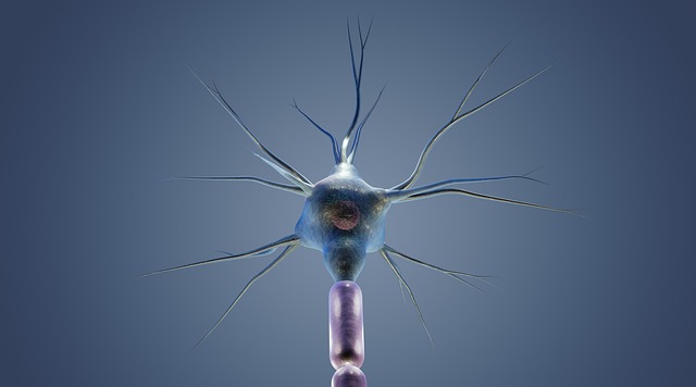 ALA for Nerve Function and Neuropathy Relief
