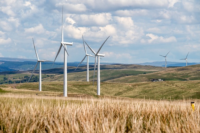 Boosting Cellular Energy Production with CoQ10