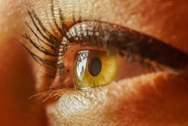Eriomin for Eye Health: Protecting Your Vision