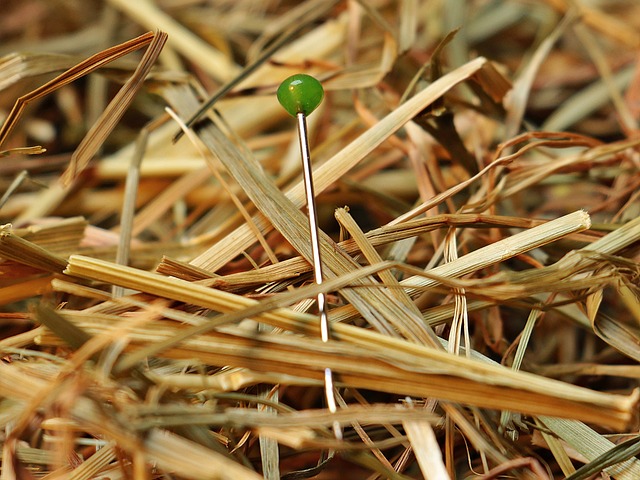 Finding Selenium in Your Diet: Prioritize Food Sources