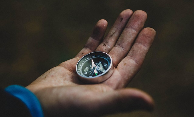 Future Directions and Research