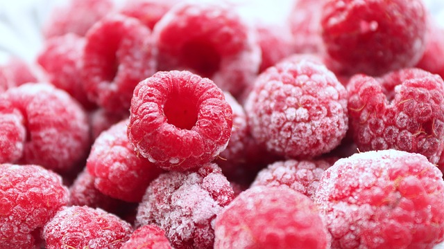 Harnessing Potent Antioxidant & Cellular Protection