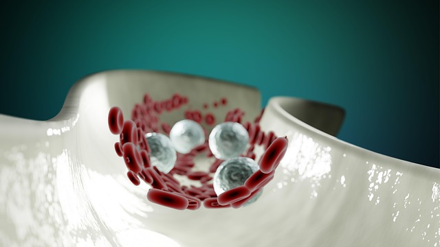 Improving Circulation with Pycnogenol