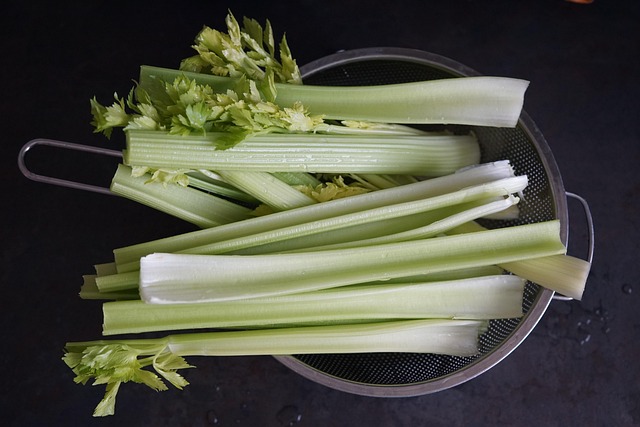 Introduction to Celery Seed Extract