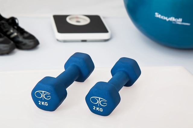 L-Carnitine and Weight Management: Understanding the Link