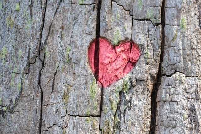Lycopene and Heart Health: A Protective Shield