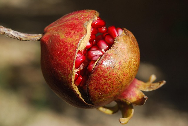 Pomegranate Extract and Heart Health: A Cardiovascular Ally