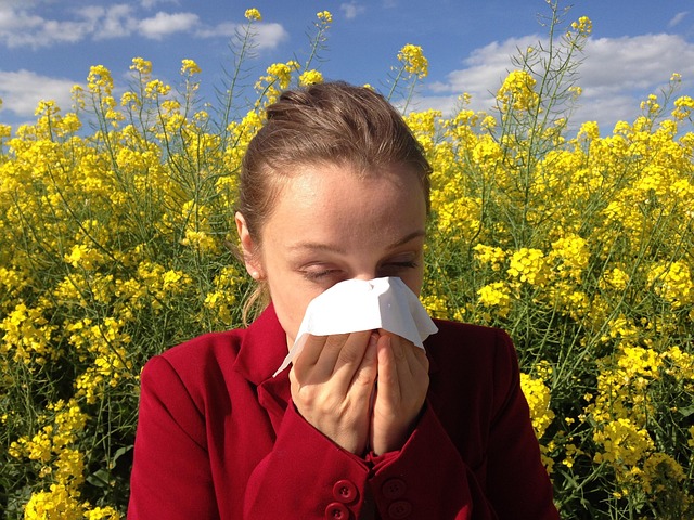 Quercetin for Allergy Relief: Calming the Histamine Response