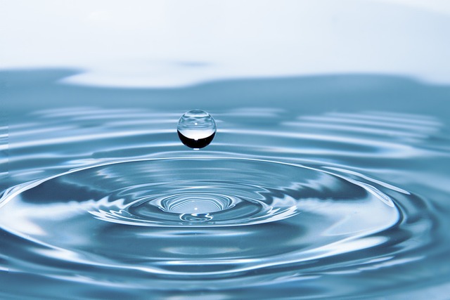 Rutin's Impact on Vascular Health: Strengthening from Within