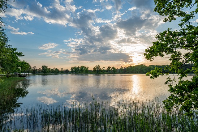 Sharpening Mental Clarity and Focus with L-Tyrosine