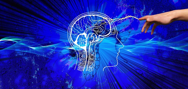 Sulforaphane and Brain Health: Protecting Your Command Center