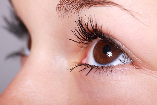 Supporting Eye Health & Beyond