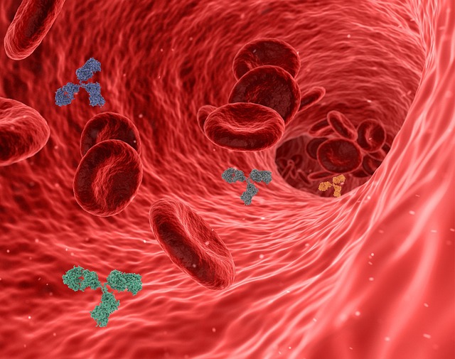 Targeting Inflammation with Black Cumin Seed Oil