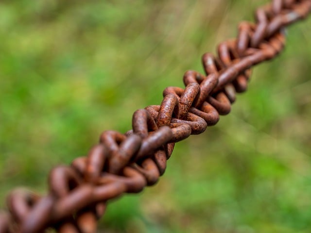 The GOS Connection to Immune Strength
