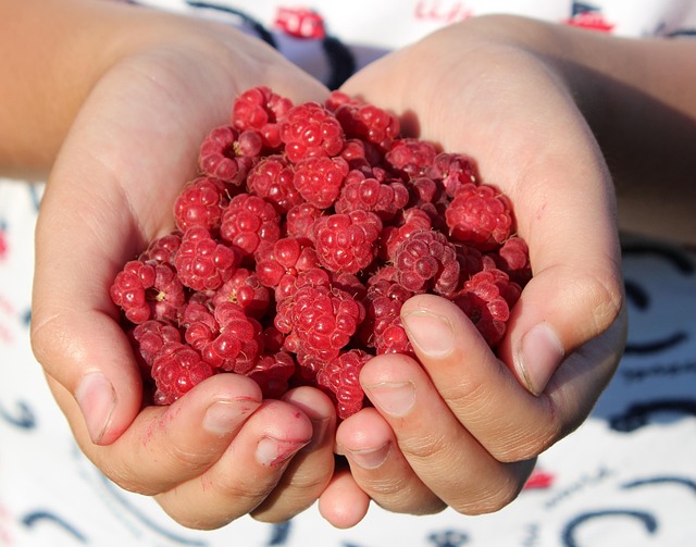 The Science-Backed Benefits of Fisetin