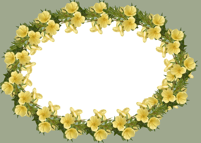 Understanding Evening Primrose Oil: The GLA Connection
